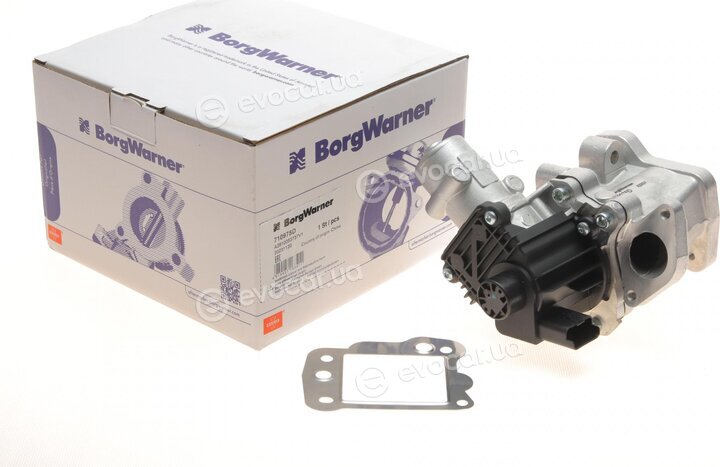 Wahler / BorgWarner 710975D