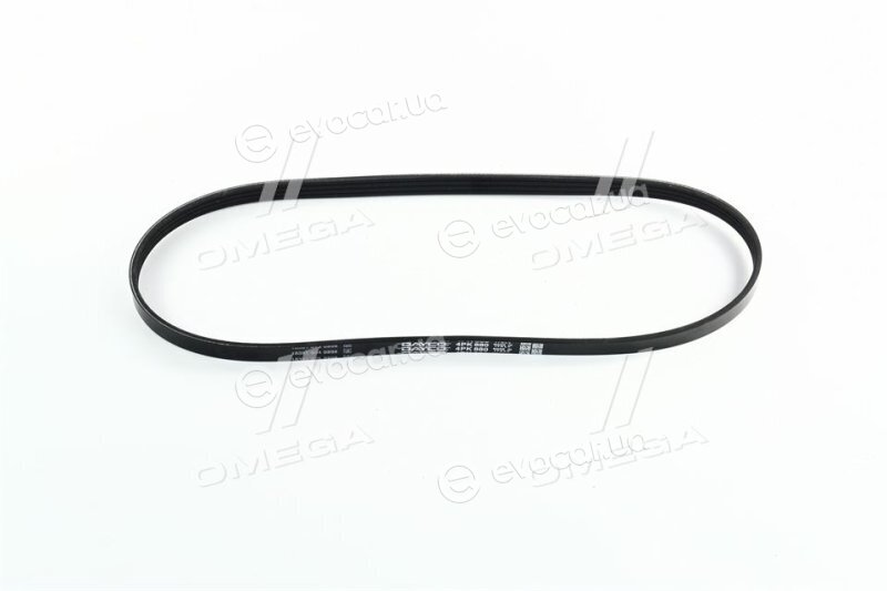 Dayco 4PK880
