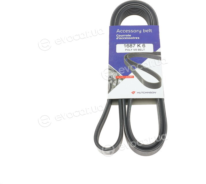Hutchinson 1687 K 6