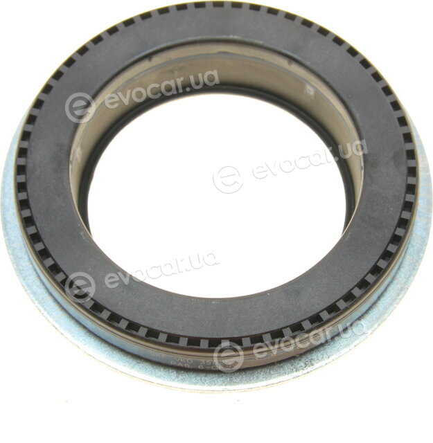 Borsehung B18294
