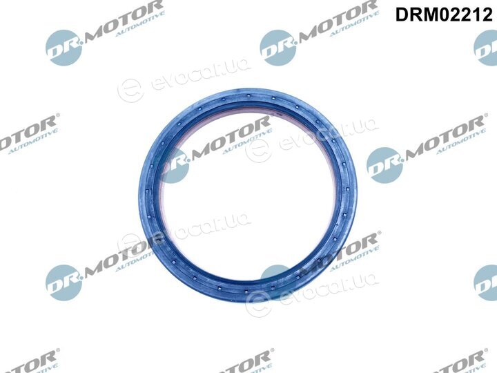Dr. Motor DRM02212