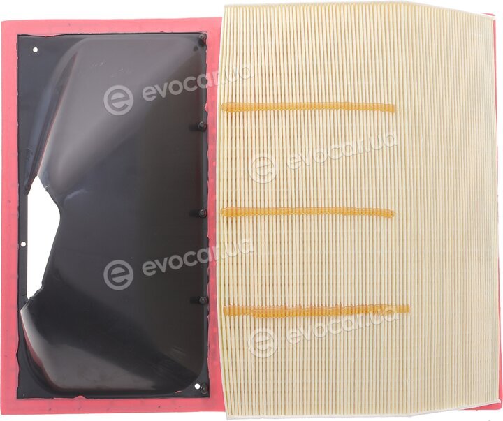 Solgy 103159