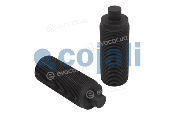 Cojali 6084520
