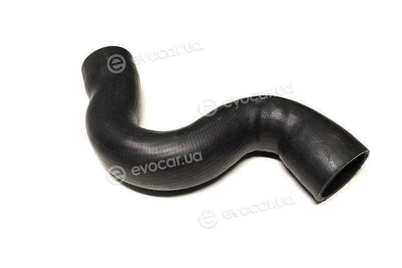 Sasic 3330038