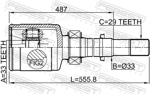 Febest 0211-T31MTRH