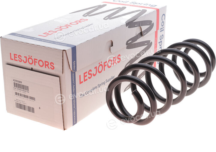 Lesjofors 4295089