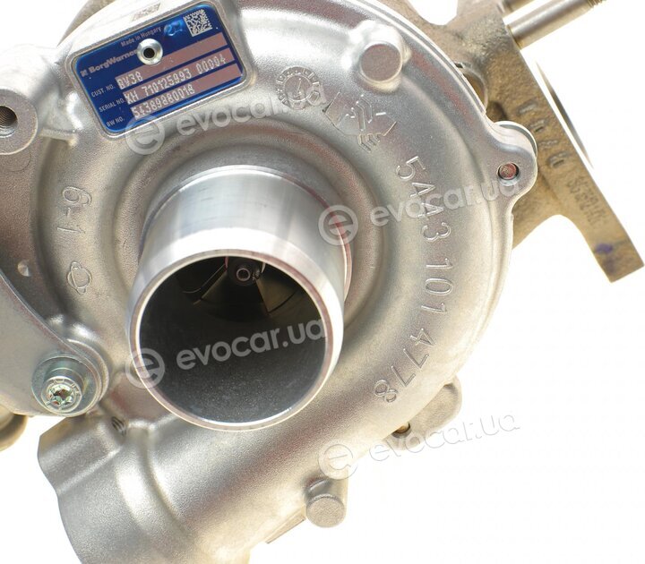 BorgWarner 54389880018