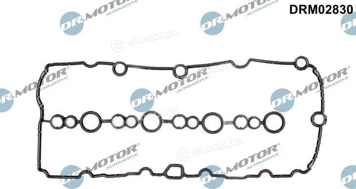 Dr. Motor DRM02830