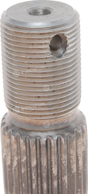 Metelli 15-1675