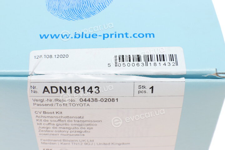 Blue Print ADN18143