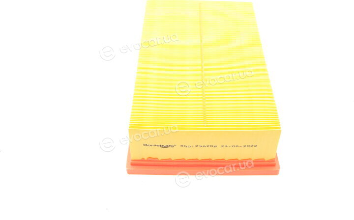 Borsehung B10537