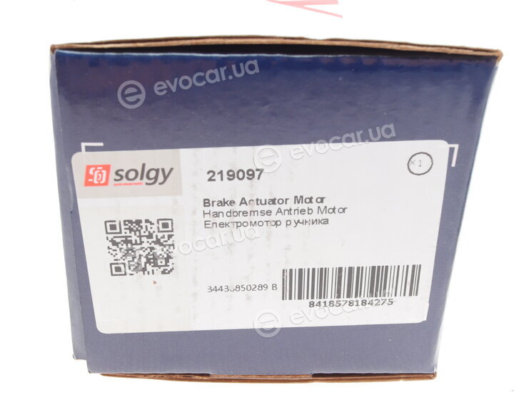 Solgy 219097
