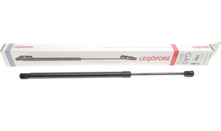 Lesjofors 8195047