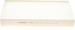 Hengst E2951LI