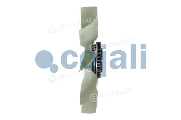 Cojali 7025116