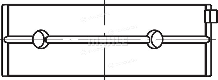 Mahle 007 HL 21895 000