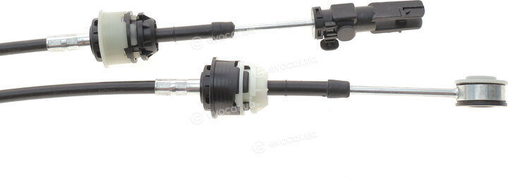 AIC 75337