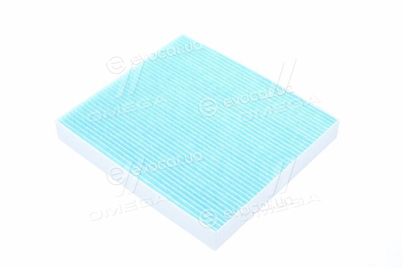 Blue Print ADG02592