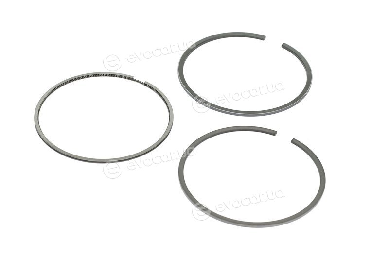 Mahle 001 RS 11119 0N0