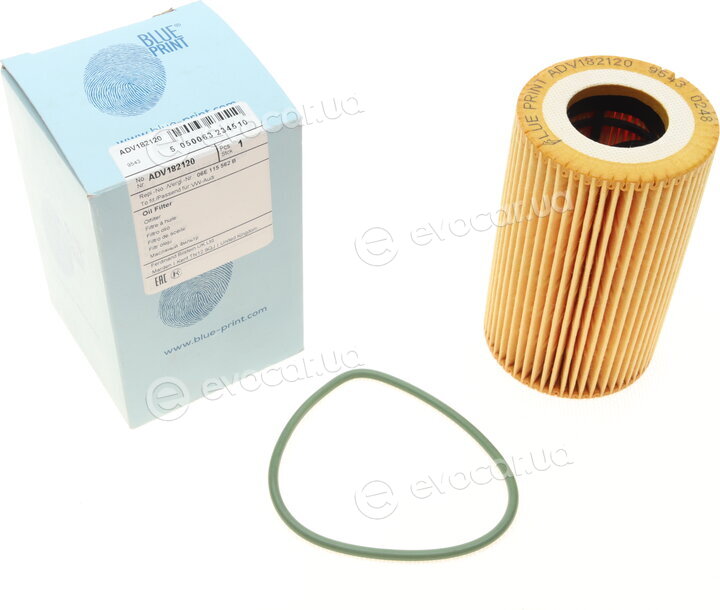 Blue Print ADV182120