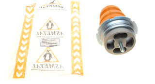 AS Metal 45FI5533