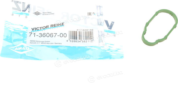 Victor Reinz 71-36067-00