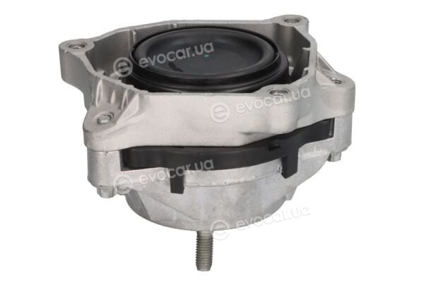 Reinhoch RH11-3134
