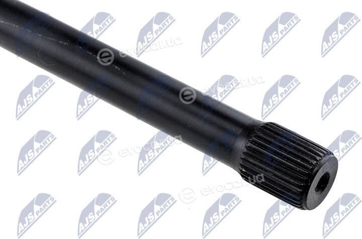 NTY ZWT-CT-008