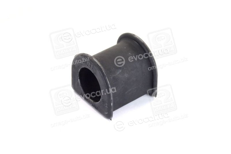 RBI T21RV01F