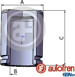 Autofren D025650