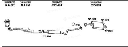 Walker / Fonos NIH16922BB