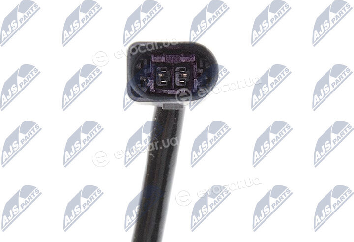 NTY EGT-AU-029