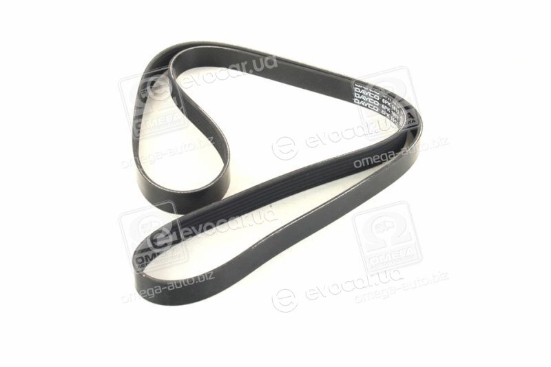 Dayco 6PK1613
