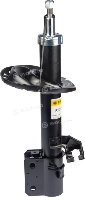 Raiso RS311983