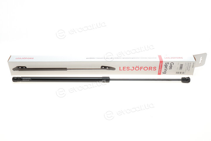 Lesjofors 8163403