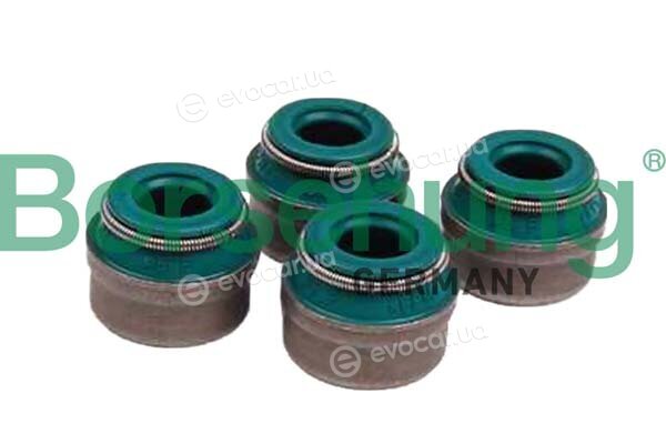Borsehung B12535