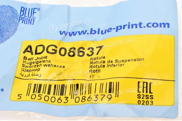 Blue Print ADG08637