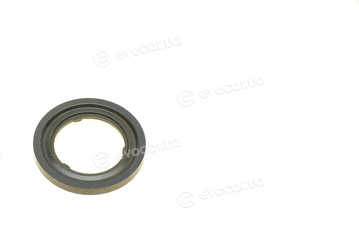 Bosch F 00N 350 001