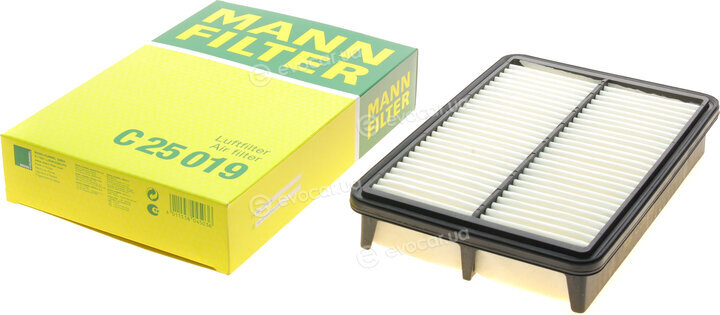 Mann C 25 019