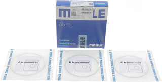 Mahle 028 RS 10125 0N0