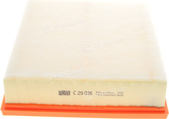 Mann C 29 036
