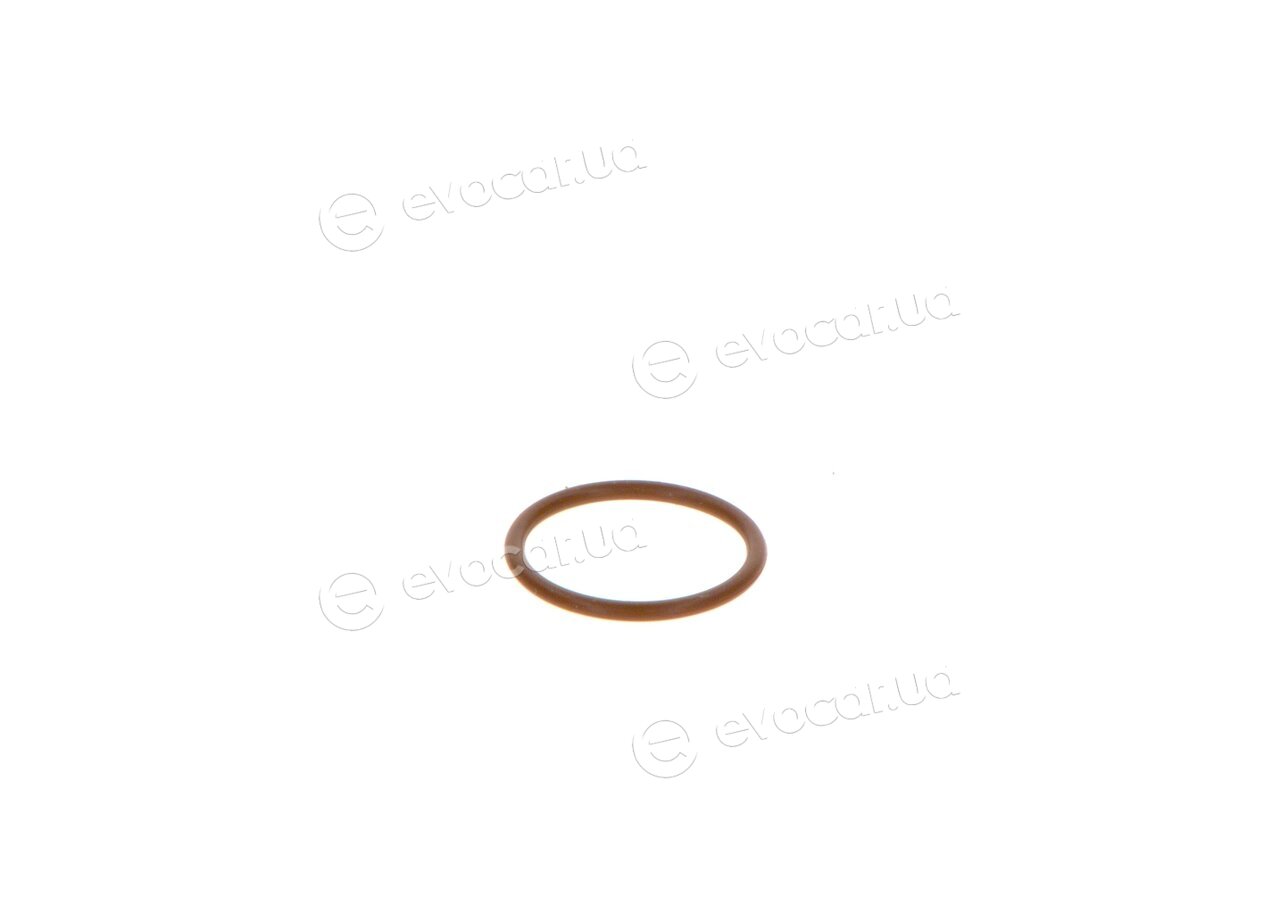 Bosch F 00V P01 005