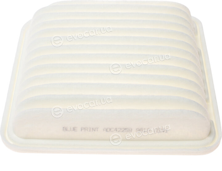 Blue Print ADC42259