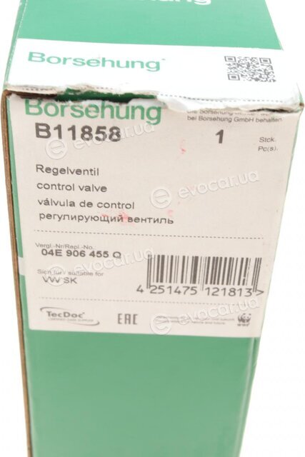 Borsehung B11858