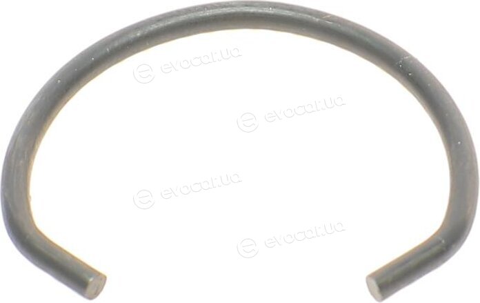 GSP 601597