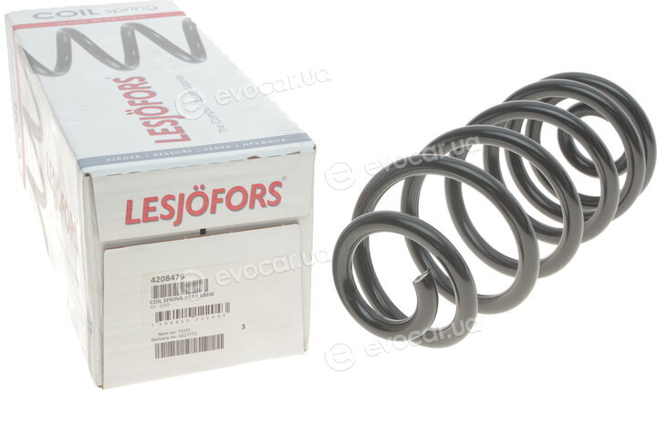 Lesjofors 4208476