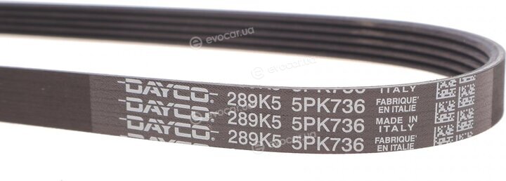 Dayco 5PK736