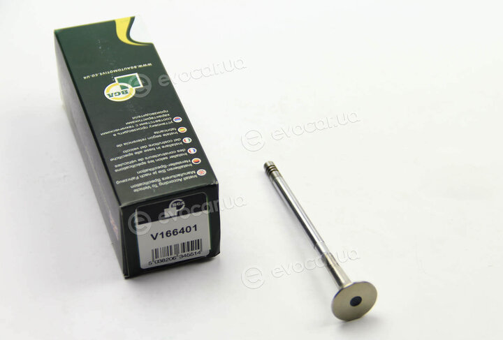 BGA V166401