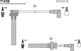 Tesla T189B