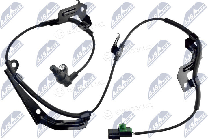 NTY HCA-MS-081